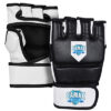 MMA-Gloves